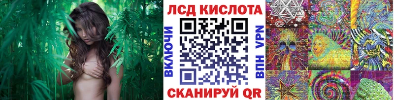 купить наркотики цена  Лахденпохья  Марки N-bome 1,5мг 