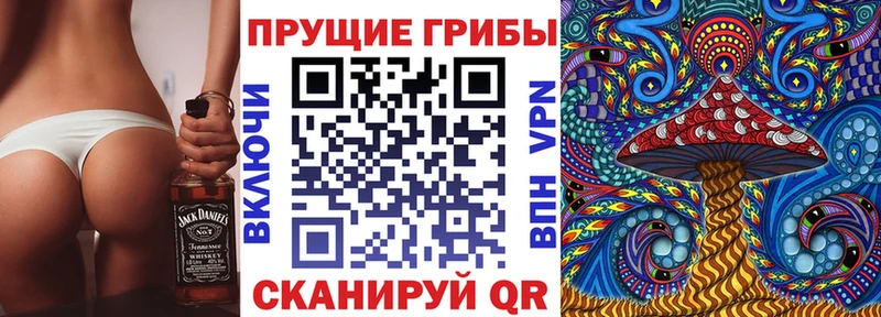 где купить наркоту  Лахденпохья  hydra зеркало  Псилоцибиновые грибы ЛСД 